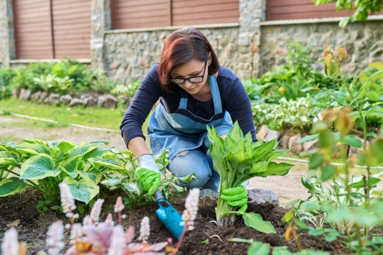 11 Perennials That Do Best When Planted in the Fall