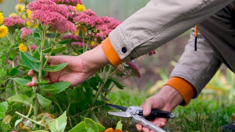 13 Easy Garden Upgrades to Do During the Fall Season