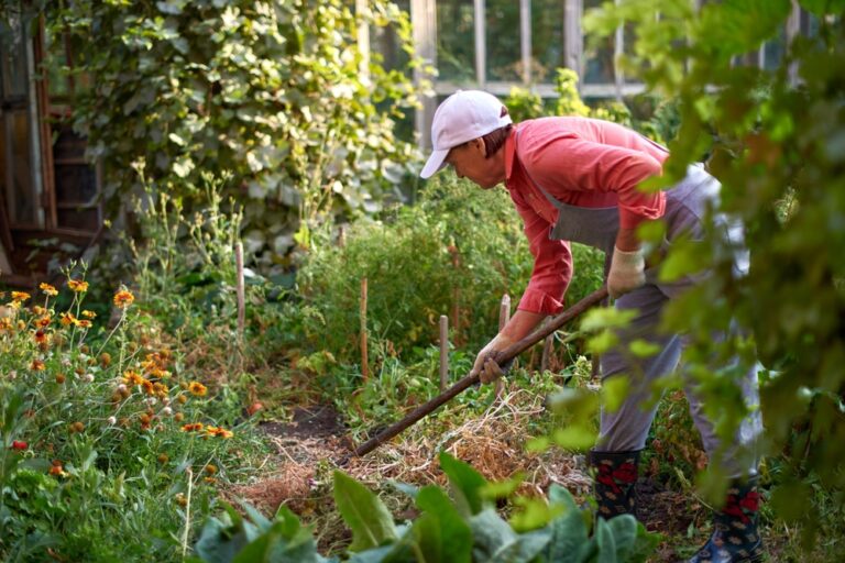 11 Quick Garden Fixes to Keep Plants Thriving Through September