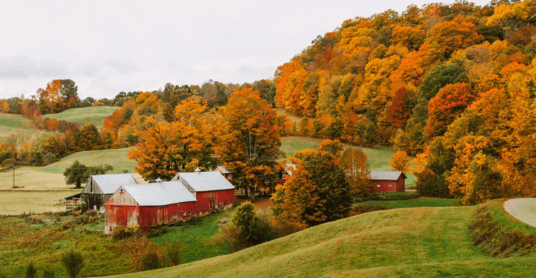 11 Art Towns That Come Alive in the Autumn Season