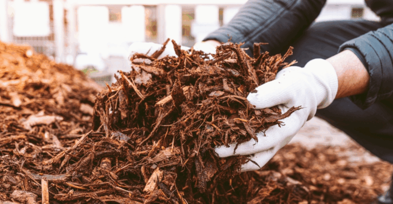 12 Eco-Friendly Mulching Ideas Perfect for Fall