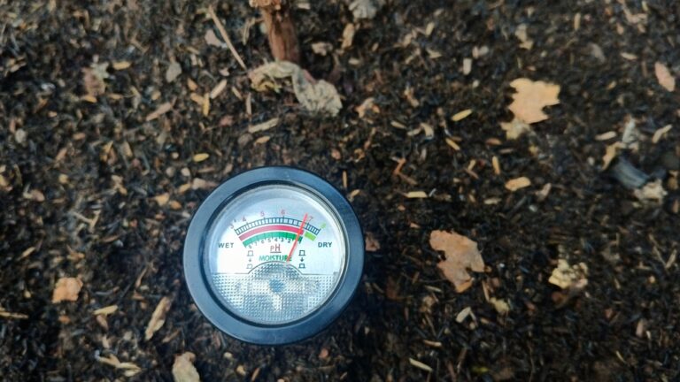 12 Simple Soil Fixes You Can Do Now for Healthier Beds Later