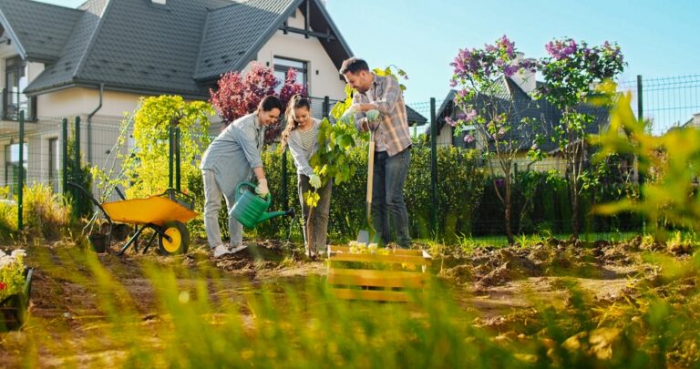 14 Trees and Shrubs You Should Plant in Autumn Instead of Spring