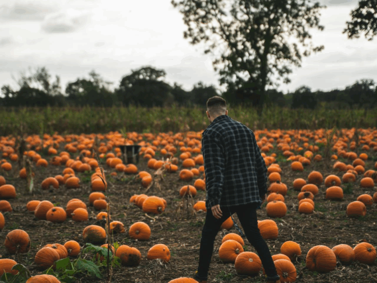 12 Fall Activities That Sound Fun but Usually Disappoint