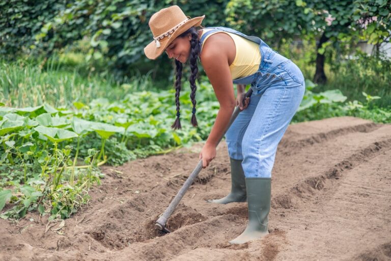 10 Ways to Prepare Your Soil in Fall for a Strong Spring Garden