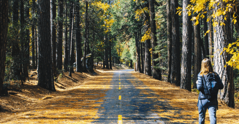 15 Fun Outdoor Activities to Make the Most of Fall