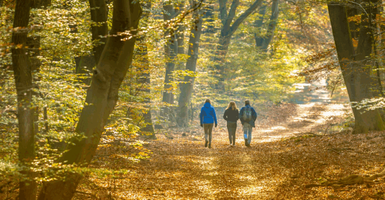 16 Ways to Stay Active While Enjoying Autumn Scenery