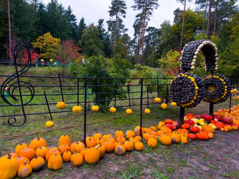 10 Ways to Use Pumpkins as Natural Fall Garden Décor