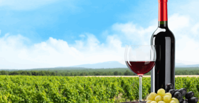 15 Wine Regions Abroad That Are Magical in the Fall