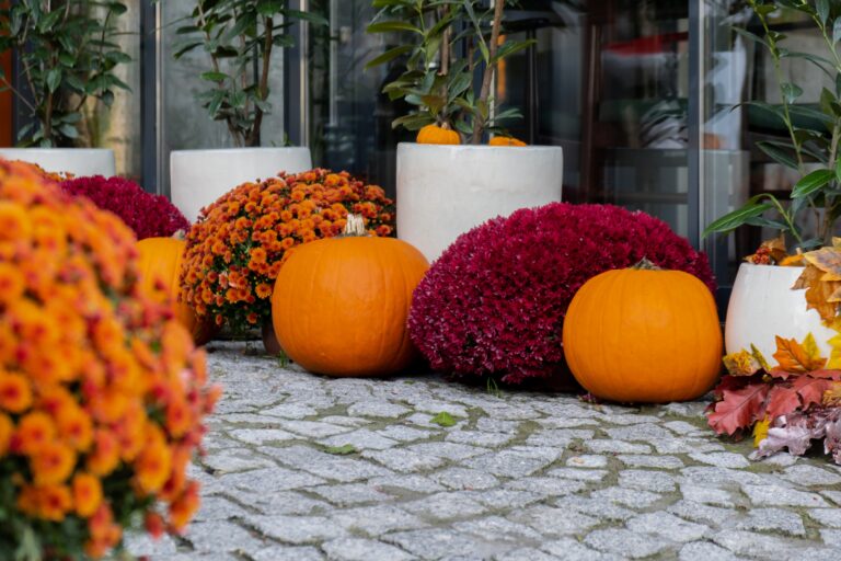13 Garden Design Tricks That Work Especially Well in Fall