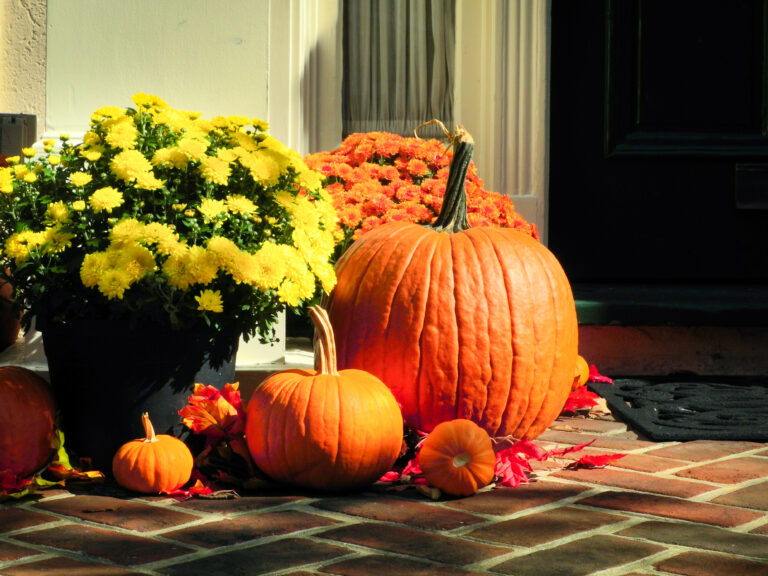 10 Front Door Decor Ideas Perfect for Fall and Halloween