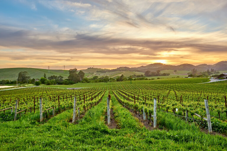 15 Wine Country Towns Where You Don’t Need to Be Rich to Live
