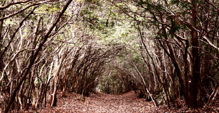 15 Asian Landmarks with Ghost Stories Locals Still Tell