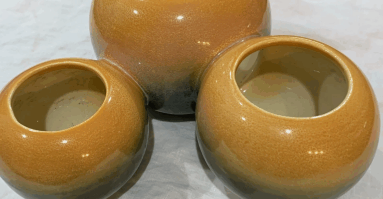 12 Ceramic Planters That Double as Kitchen Collectibles