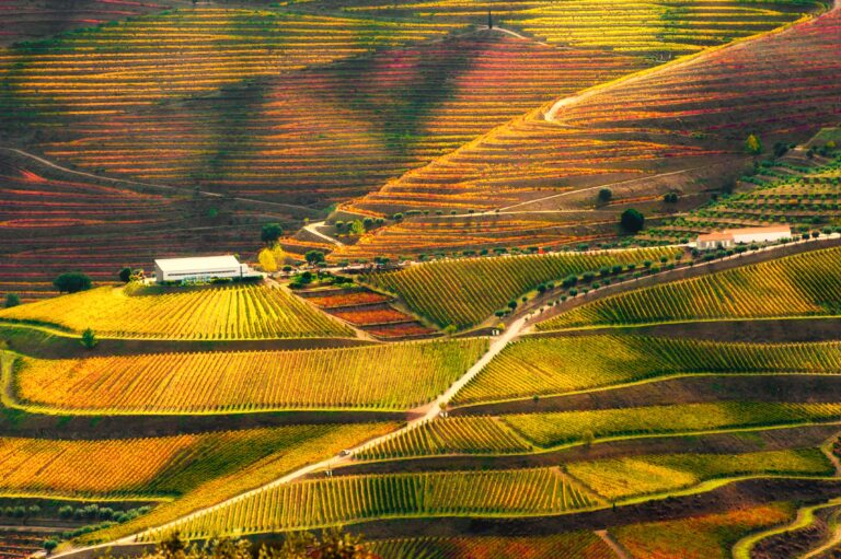 11 Underrated Wine Regions in Europe That Welcome Families