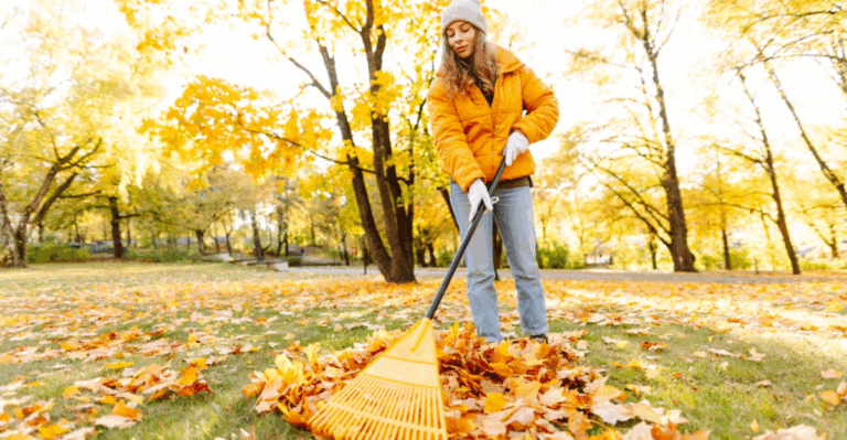 18 Fall Cleanup Tasks Every Gardener Should Finish by October