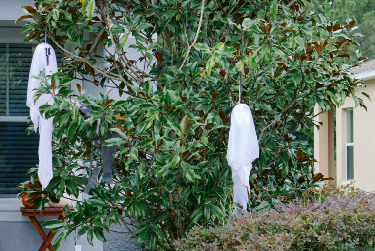 11 Easy Halloween Yard Ideas That Kids Will Love