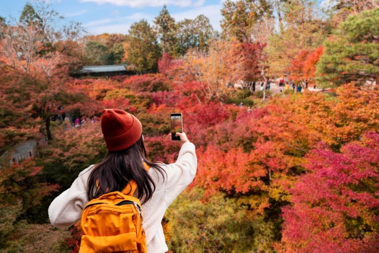 12 Best Photogenic Spots for Autumn Foliage in Cities Globally