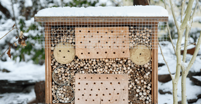 15 Natural Habitat Projects to Try Before the Ground Freezes