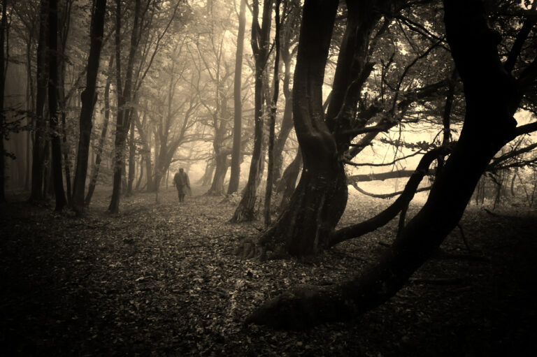 11 Folk Horror Movies That Feel Like Nightmares in the Woods
