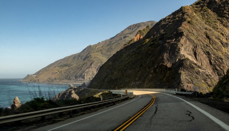 10 Coastal Drives Where Whale Watching Season Is Still Going Strong