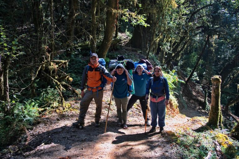 11 Kid Friendly Hikes With Views That Feel Worth It For Everyone