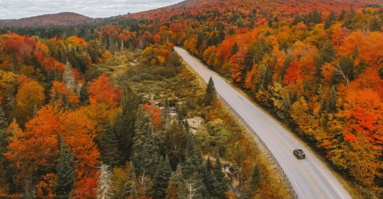 12 Fall Road Trips Across Countries You Can Drive