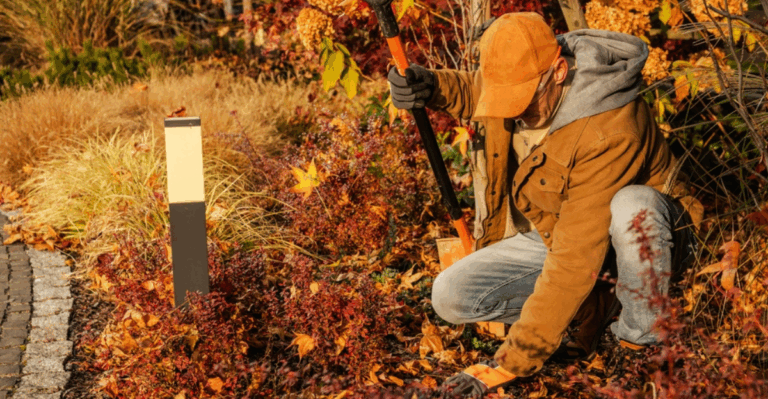 12 Tasks Every Gardener Should Do in November Before Winter Hits