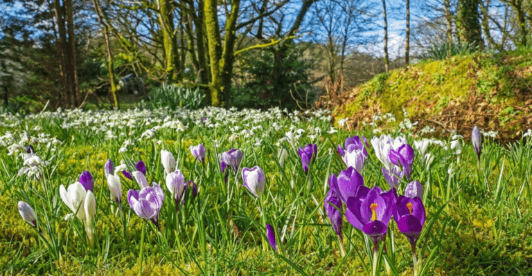 14 Quick November Garden Fixes That Save You Time in Spring