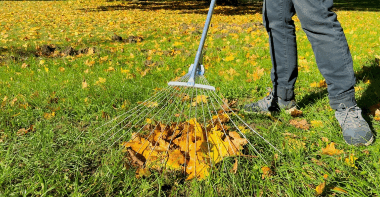 10 Ways to Use Fall Leaves to Feed Your Garden