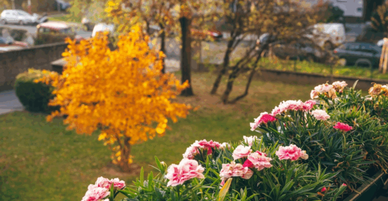 12 Gardening Tips for Mild-Winter States in November