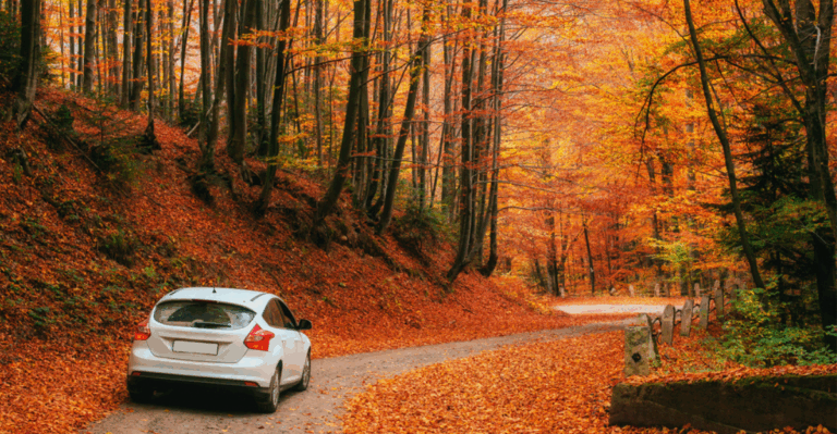 15 Best Fall Road Trips in the U.S. to Take in October