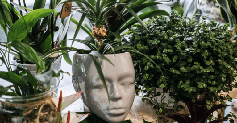 16 Rare and Whimsical Ceramic Planters From the 1940s–60s
