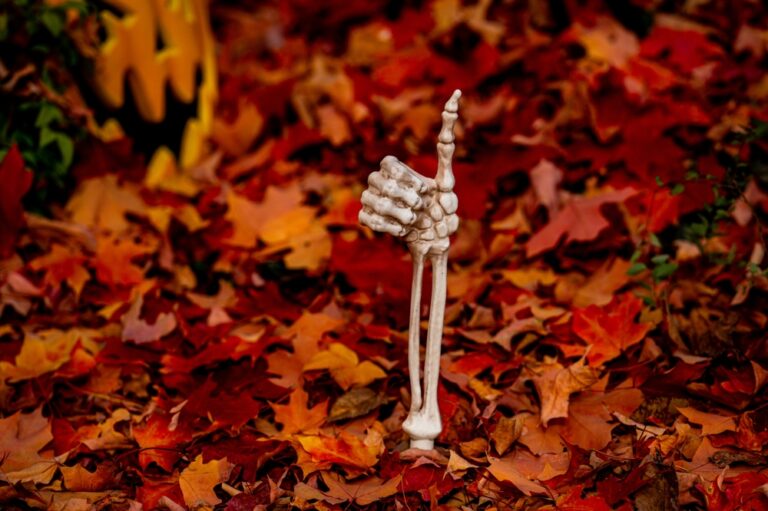 11 Outdoor Decor Ideas That Transition From Fall to Halloween
