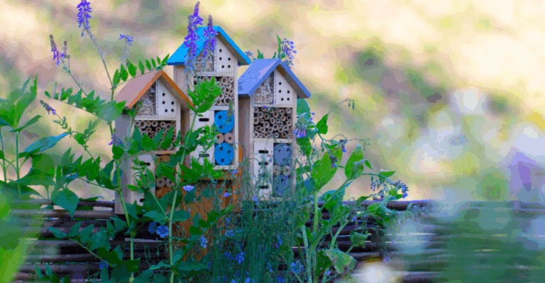 15 Ways to Help Pollinators and Birds in October