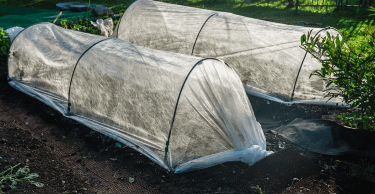 14 Ways to Protect Tender Plants from Cold Nights