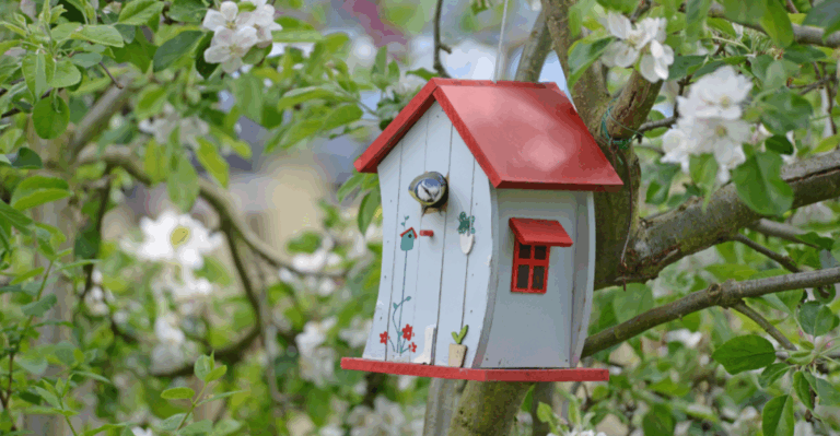 14 Ways to Turn Your Yard into a Winter Refuge for Wildlife