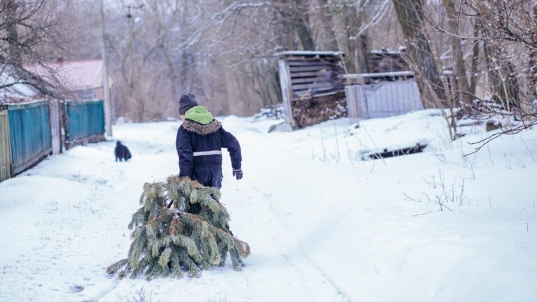 10 Mistakes to Avoid When Composting in Cooler Weather