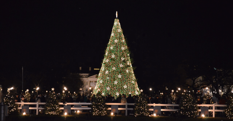 15 American Cities Known for Their December Events and Parades