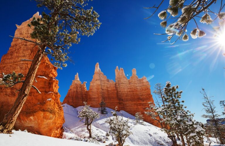 13 National Parks That Look Stunning in December