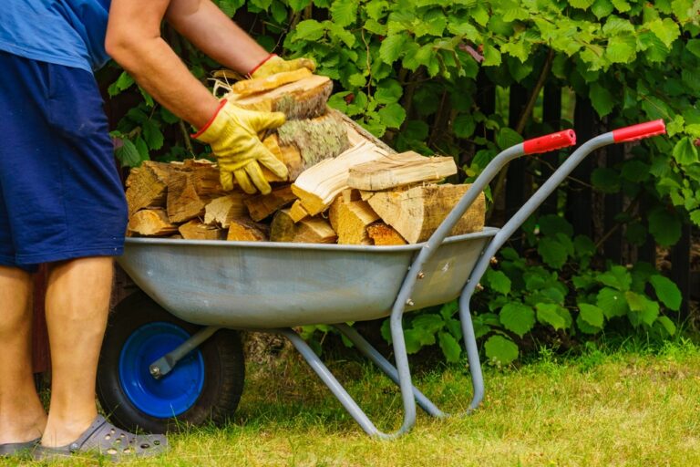 11 Outdoor Jobs to Wrap Up Before Freezing Temperatures Arrive