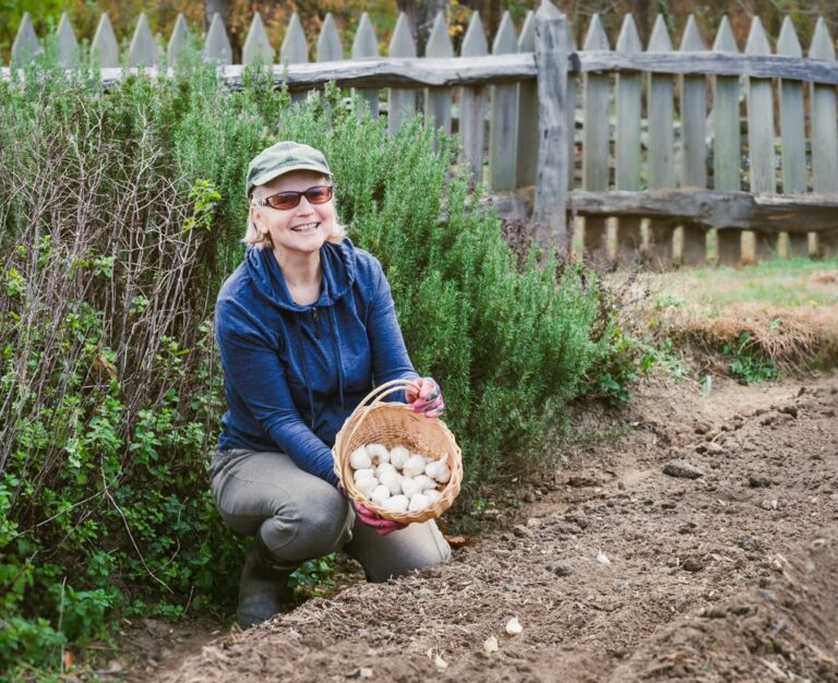 11 Fall Vegetables to Sow for an Early Spring Harvest