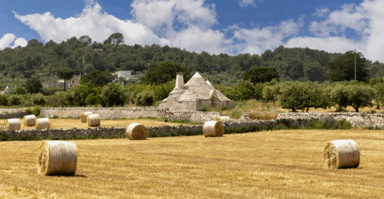 14 Peaceful Farm Stays Across Europe Perfect for Families