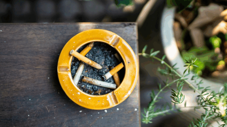 8 Rare Ceramic Ashtrays From Defunct Brands