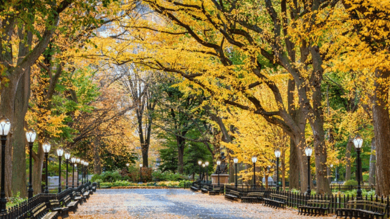 14 Warm Destinations to Escape the November Chill