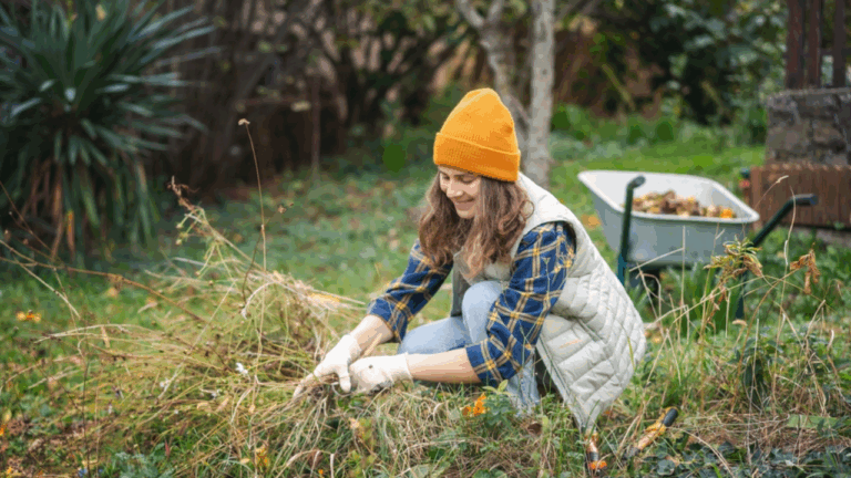 13 Things to Clean, Cut, and Cover in Your Garden This November
