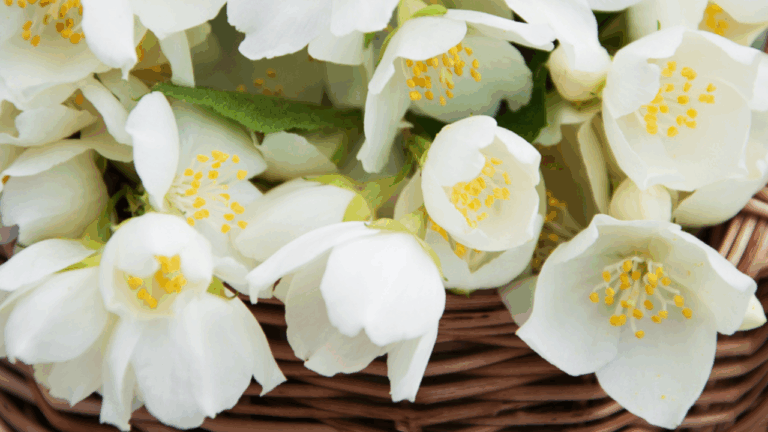 10 Winter Containers That Stay Lively When Everything Else Fades