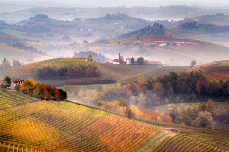 11 International Wine Regions to Visit in Autumn