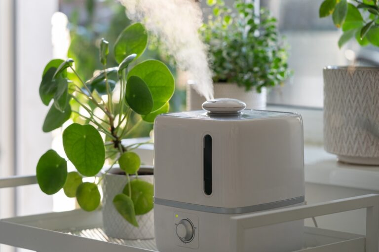 10 Simple Ways to Bring Your Garden Indoors for Winter