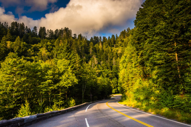 15 Budget-Friendly Road Trips Perfect for Family Bonding This Season